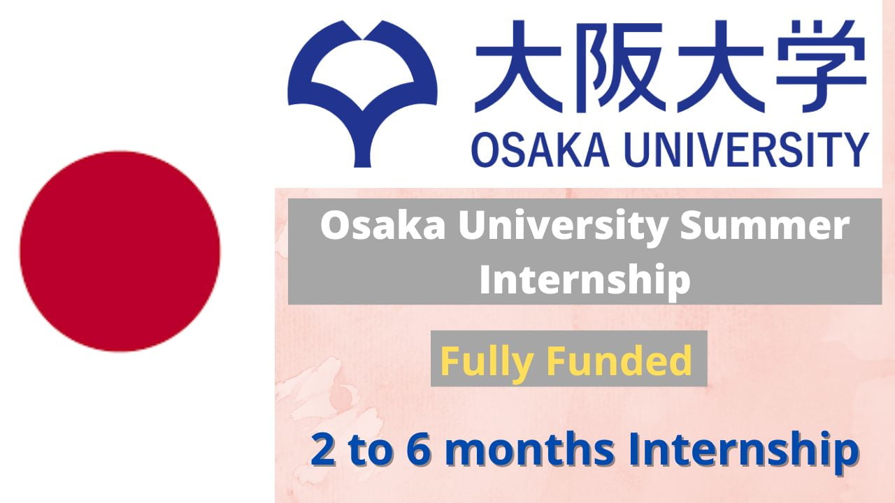 Osaka University Summer Internship 2023