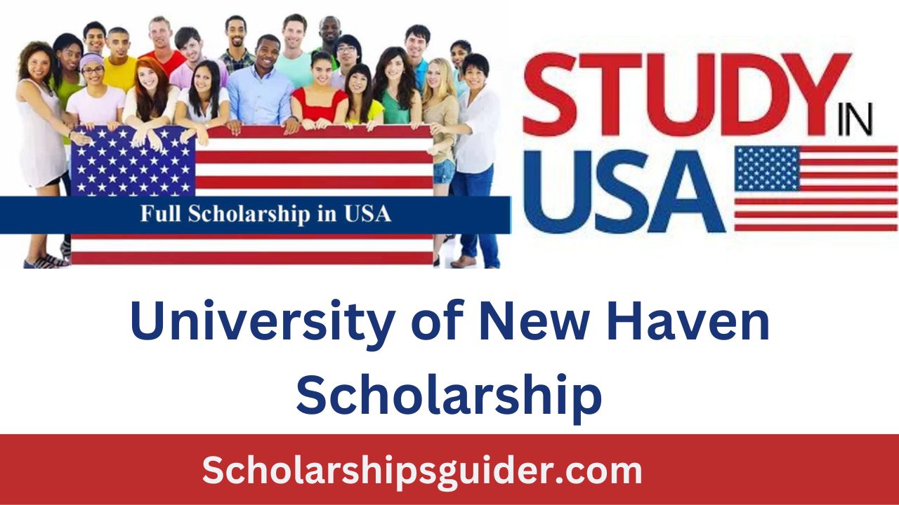 University of New Haven Scholarship 2023-2024 in USA