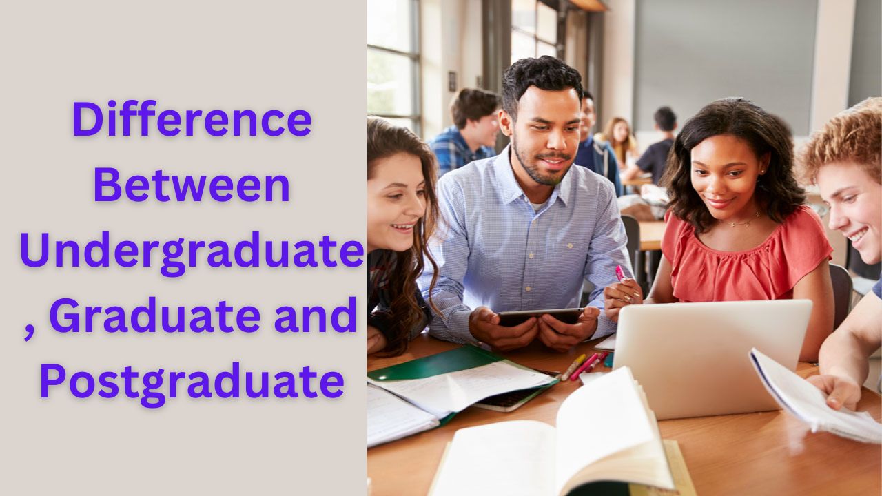 What Is The Difference Between Undergraduate And Graduate Students