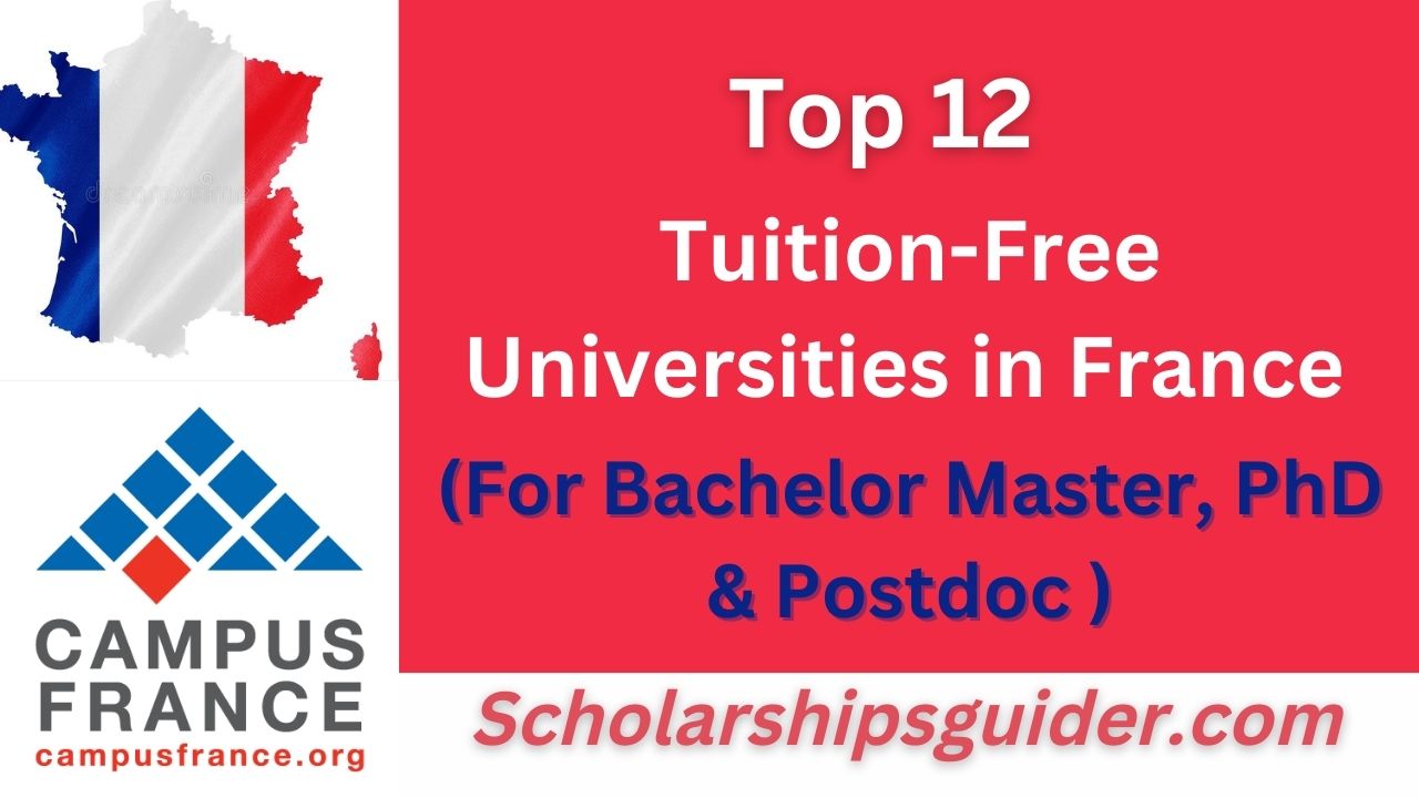 Top 12 TuitionFree Universities in France 2024