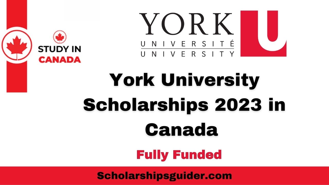 York University Scholarships 2023 In Canada 