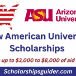 New American University Scholarships 2024