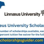 Linnaeus University Scholarship 2024