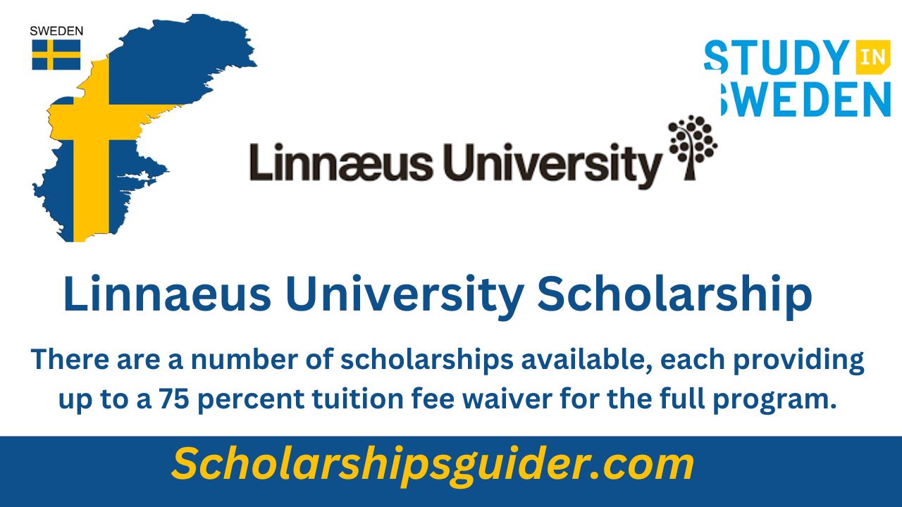 Linnaeus University Scholarship 2024