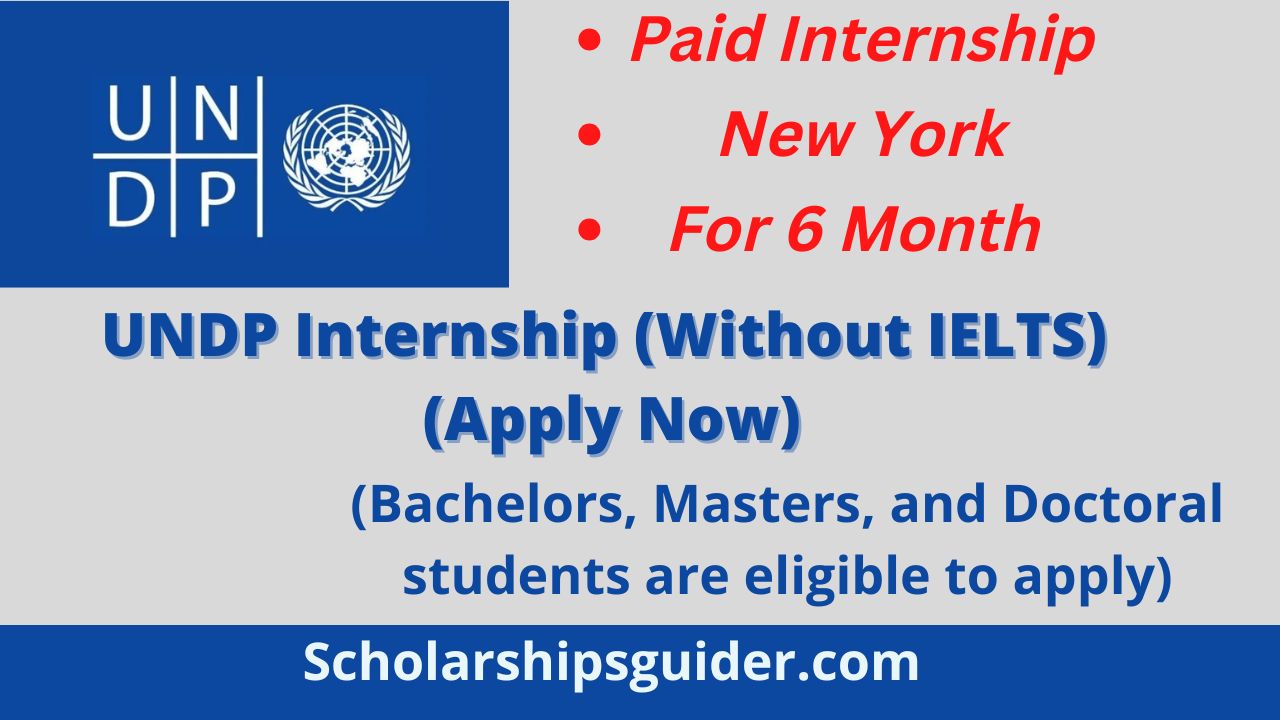 UNDP Internship 2025 | Without Ielts